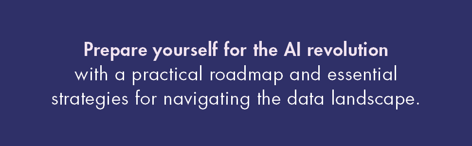 Mastering the Data Paradox