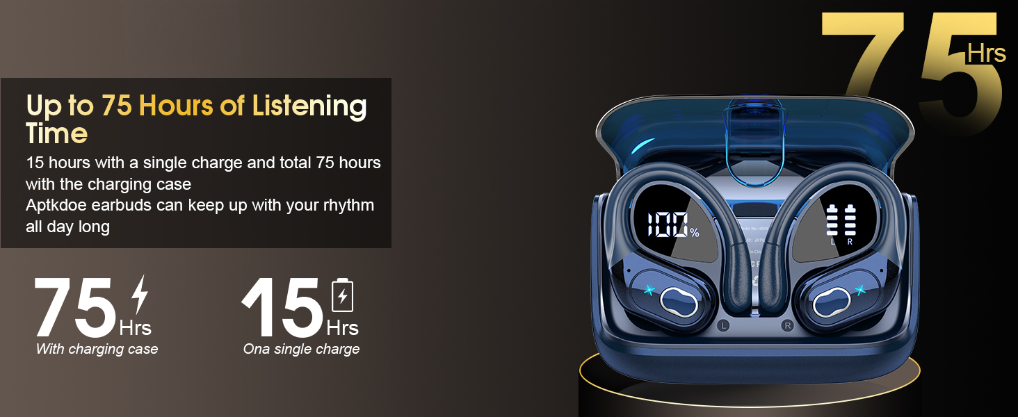 True Wireless Noise Cancelling Earbuds